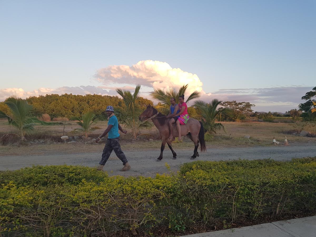 Bayview Cove Resort Nadi Ngoại thất bức ảnh